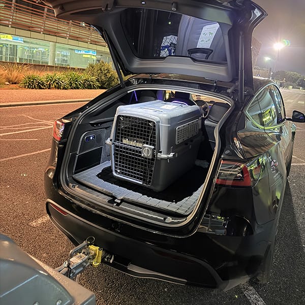 Transport animaux VTC Toulouse avec conductrice privée