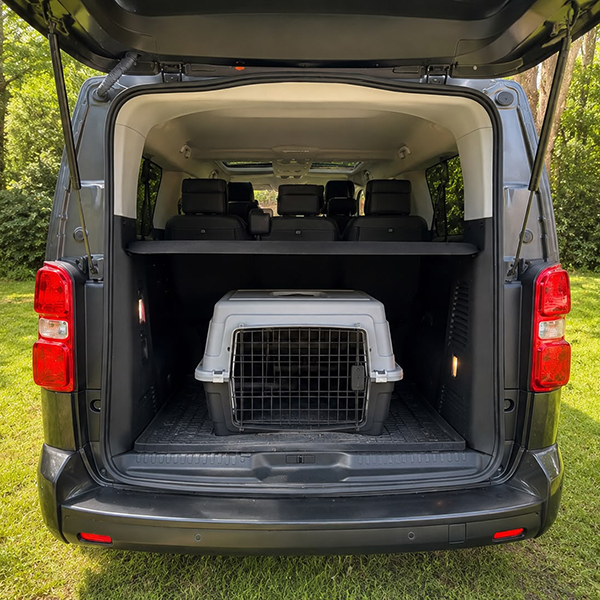 Transport animaux VTC Toulouse avec conductrice privée